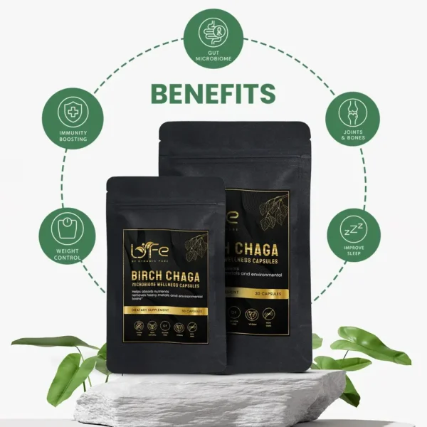 Benefitts of Birch Chaga Microbiome Wellness Capsules
