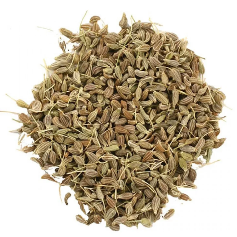 Anise Essential Oil