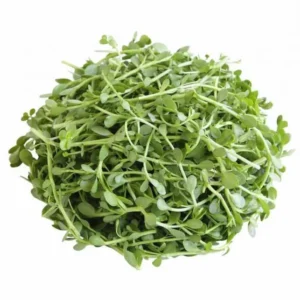 Brahmi oil