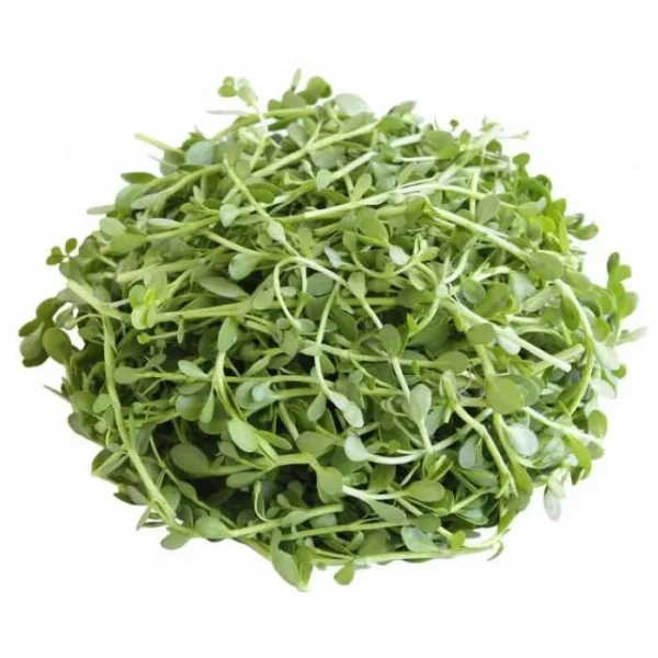 Brahmi oil