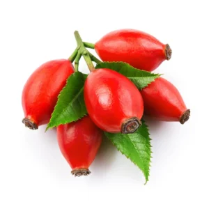 Rose Hip Oil