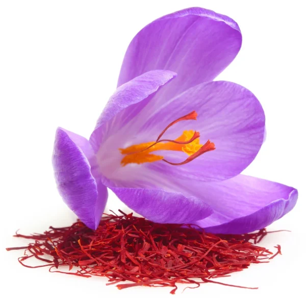 Saffron oil