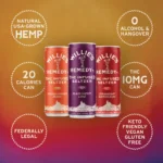 Willies-Remedy-10mg-Sparkling-Seltzer-Variety-Pack
